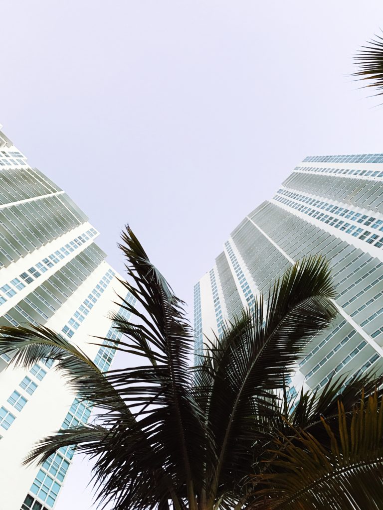 Miami Brickell Palms