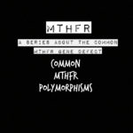 mthfr polymorphisms