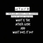 what is the mthfr gene and what does it do